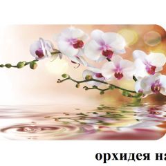 БОСТОН - 2 опоры Брифинг в Приобье - priobie.mebel24.online | фото 4