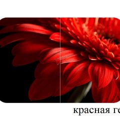 БОСТОН - 3 Стол раздвижной 1100/1420 опоры Триумф в Приобье - priobie.mebel24.online | фото 18