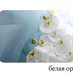 БОСТОН - 3 Стол раздвижной 1100/1420 опоры Триумф в Приобье - priobie.mebel24.online | фото 8