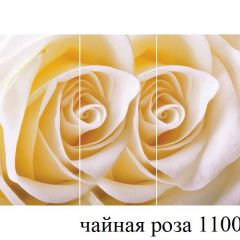 БОСТОН - 3 Стол раздвижной 1100/1420 опоры Триумф в Приобье - priobie.mebel24.online | фото 48