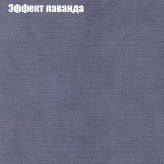 Диван Феникс 1 (ткань до 300) в Приобье - priobie.mebel24.online | фото 64