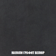 Кресло-кровать Акварель 1 (ткань до 300) БЕЗ Пуфа в Приобье - priobie.mebel24.online | фото 37