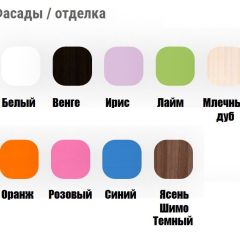 Кровать выкатная Соник на щитах (800*1600) с бортиком + ящик в Приобье - priobie.mebel24.online | фото 11