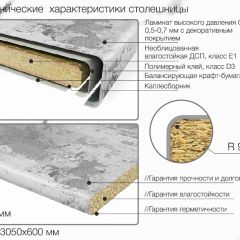 Кухонный фартук со столешницей (А-011) в едином стиле (3050 мм) в Приобье - priobie.mebel24.online | фото 6