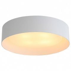 Накладной светильник ST-Luce Chio SL392.502.04 в Приобье - priobie.mebel24.online | фото