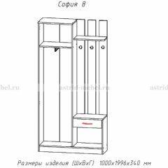 Прихожая София 8 в Приобье - priobie.mebel24.online | фото 2