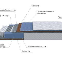 PROxSON Матрас Active Duo M/F (Ткань Трикотаж Эко) 120x190 в Приобье - priobie.mebel24.online | фото 6