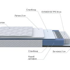 PROxSON Матрас Active Duo S/F (Ткань Трикотаж Эко) 120x190 в Приобье - priobie.mebel24.online | фото 7