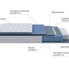 PROxSON Матрас Active M Roll (Ткань Трикотаж Эко) 120x190 в Приобье - priobie.mebel24.online | фото 7