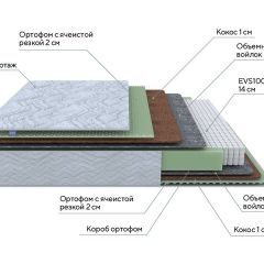 PROxSON Матрас Green M (Tricotage Dream) 180x210 в Приобье - priobie.mebel24.online | фото 7