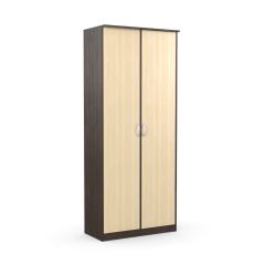 Шкаф 2-х створчатый Дуэт Люкс без зеркала в Приобье - priobie.mebel24.online | фото