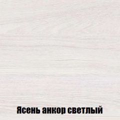 Шкаф 2-х створчатый МСП-1 (Ясень Анкор светлый) в Приобье - priobie.mebel24.online | фото 4