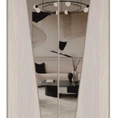 Шкаф-купе 1300 серии SILVER S1+S1+B2+PL2 (2 ящика+1 штанга+1 полка) профиль «Серебро» в Приобье - priobie.mebel24.online | фото 12