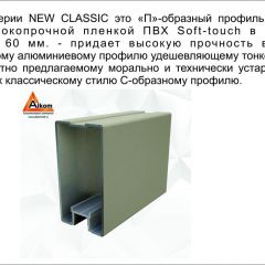 Шкаф-купе 1500 серии NEW CLASSIC K2+K2+B2+PL2(2 ящика+1 штанга+1 полка) профиль «Капучино» в Приобье - priobie.mebel24.online | фото 17