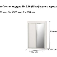 Шкаф-купе 1600 с зеркалом "Мария-Луиза 6.16" в Приобье - priobie.mebel24.online | фото 4