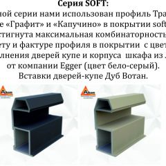 Шкаф-купе 1600 серии SOFT D8+D2+B2+PL4 (2 ящика+F обр.штанга) профиль «Графит» в Приобье - priobie.mebel24.online | фото 12