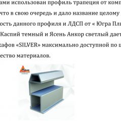 Шкаф-купе 1700 серии SILVER S3+S4+B2+PL4 (2 ящика+F обр.штанга) профиль «Серебро» в Приобье - priobie.mebel24.online | фото 4