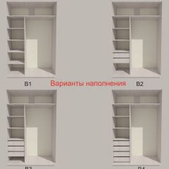 Шкаф-купе 1700 серии SILVER S3+S4+B2+PL4 (2 ящика+F обр.штанга) профиль «Серебро» в Приобье - priobie.mebel24.online | фото 5