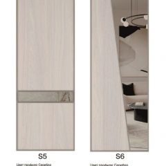 Шкаф-купе 1700 серии SILVER S3+S4+B2+PL4 (2 ящика+F обр.штанга) профиль «Серебро» в Приобье - priobie.mebel24.online | фото 11