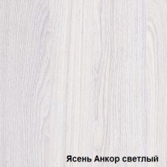 Шкаф-купе №19 Серия 3 Квадро (1500) Ясень Анкор светлый в Приобье - priobie.mebel24.online | фото 2