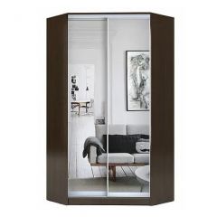 Шкаф-купе ХИТ-У-24-4-55 в Приобье - priobie.mebel24.online | фото 1