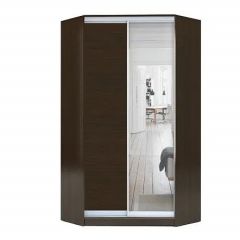 Шкаф-купе ХИТ-У-L-22-64-15 в Приобье - priobie.mebel24.online | фото 2