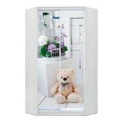 Шкаф-купе ХИТ-У-L-22-64-77 в Приобье - priobie.mebel24.online | фото 1