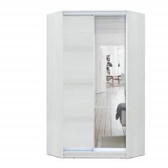 Шкаф-купе ХИТ-У-L-24-64-15 в Приобье - priobie.mebel24.online | фото 1