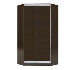 Шкаф-купе ХИТ-У-R-22-64-11 в Приобье - priobie.mebel24.online | фото