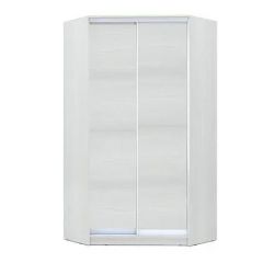 Шкаф-купе ХИТ-У-R-24-64-11 в Приобье - priobie.mebel24.online | фото 1