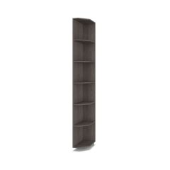 РОЛАНД Шкаф-купе с зеркалом Анкор темный (450*1600) Р462 в Приобье - priobie.mebel24.online | фото