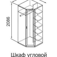 Шкаф угловой для одежды Ника-Люкс 30 без зеркал в Приобье - priobie.mebel24.online | фото 3