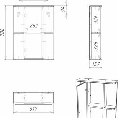 Шкаф-зеркало Норма 2-50 левый АЙСБЕРГ (DA1607HZ) в Приобье - priobie.mebel24.online | фото 10