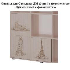 Стеллаж ДМ (ТМК) в Приобье - priobie.mebel24.online | фото 5