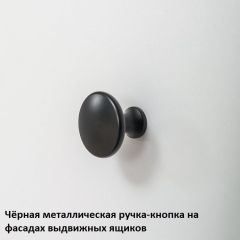 Вуди Шкаф для одежды 13.138 в Приобье - priobie.mebel24.online | фото 6
