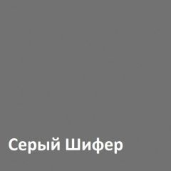 Юнона Шкаф торцевой 13.221 в Приобье - priobie.mebel24.online | фото 2