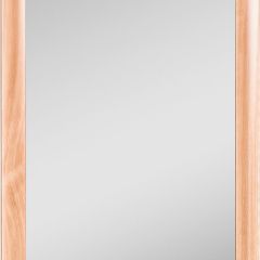 Зеркало МДФ профиль 1200х600 Бук Домино (DM9002Z) в Приобье - priobie.mebel24.online | фото 1