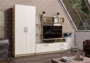 ДАРЬЯ Гостиная (Крафт серый/Крафт белый) в Приобье - priobie.mebel24.online | фото