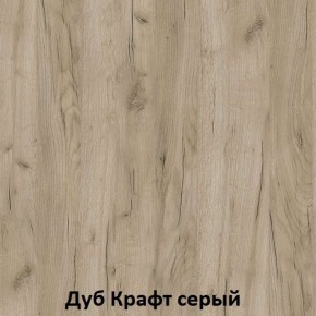 ДАРЬЯ Гостиная (Крафт серый/Крафт белый) модульная в Приобье - priobie.mebel24.online | фото 2