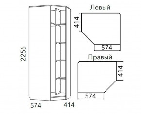Детская Фанк Шкаф угловой Левый/Правый НМ 013.04-02 М в Приобье - priobie.mebel24.online | фото 3