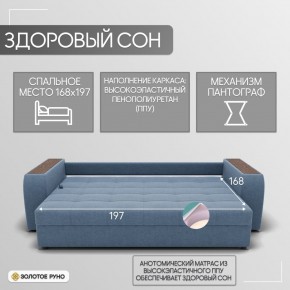 Диван Сенатор-1 (ППУ) в Приобье - priobie.mebel24.online | фото 3