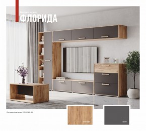 ФЛОРИДА Гостиная (модульная) дуб золотой/графит в Приобье - priobie.mebel24.online | фото