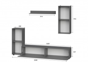 Гостиная МГС 10 (Графит) в Приобье - priobie.mebel24.online | фото 2