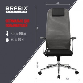 Кресло офисное BRABIX PREMIUM "Ultimate EX-801" хром, плотная двойная сетка Х2, черное/серое, 532918 в Приобье - priobie.mebel24.online | фото 5