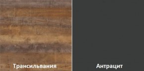 Кухонный гарнитур угловой Трансильвания 2600х1600 мм (Стол. 38 мм) в Приобье - priobie.mebel24.online | фото 3