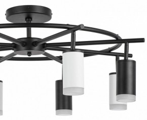 Люстра на штанге Lightstar Rullo LR7183743640 в Приобье - priobie.mebel24.online | фото 4