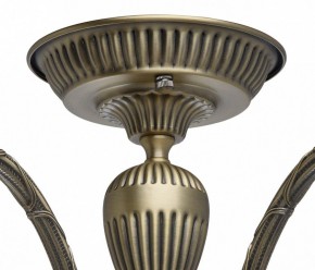 Люстра на штанге MW-Light Аманда 6 481011805 в Приобье - priobie.mebel24.online | фото 10