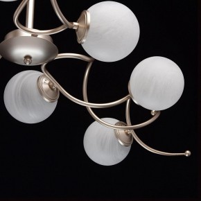 Люстра на штанге MW-Light Оливия 5 306012709 в Приобье - priobie.mebel24.online | фото 10