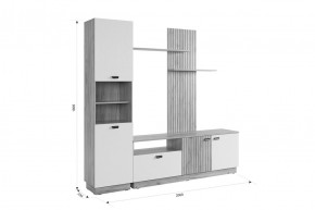 МОДИ Гостиная (модульная) белое дерево в Приобье - priobie.mebel24.online | фото 2