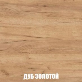 МСП-1 Шкаф 2-х створчатый (Дуб Золотой/Камень темный) в Приобье - priobie.mebel24.online | фото 4